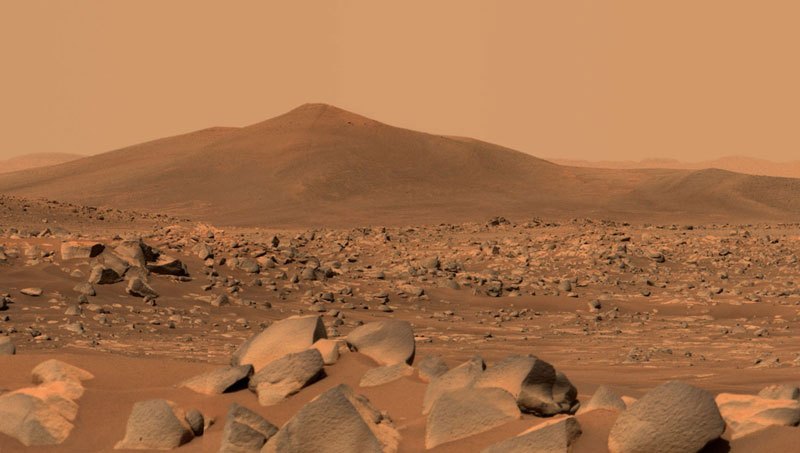 چگونه بدن انسان ها در مریخ تجزیه می شوند؟