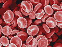 خون چیست و چه کاربردی در بدن انسان دارد؟
