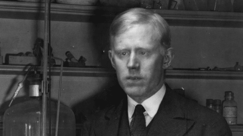 آد هسل کیست؟